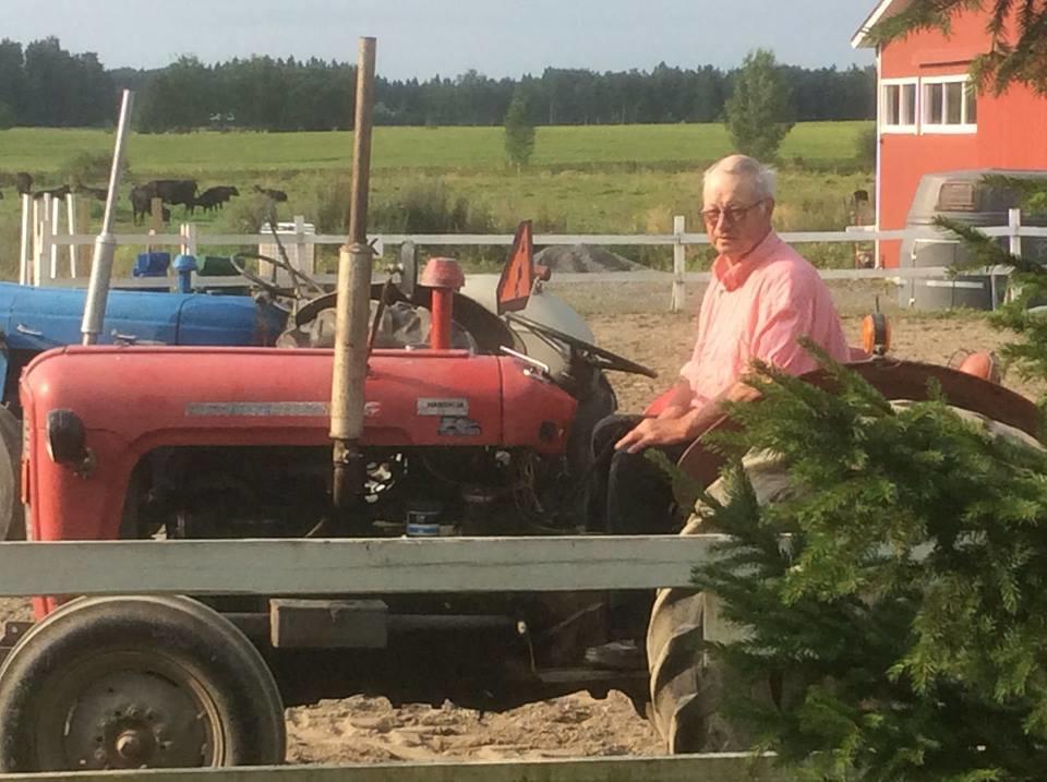 Ilola Maatilamatkailu Valkeakoski Eksteriør billede
